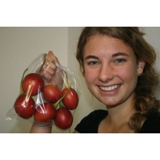 TAMARILLOS  500 Grams Katikati Grown
